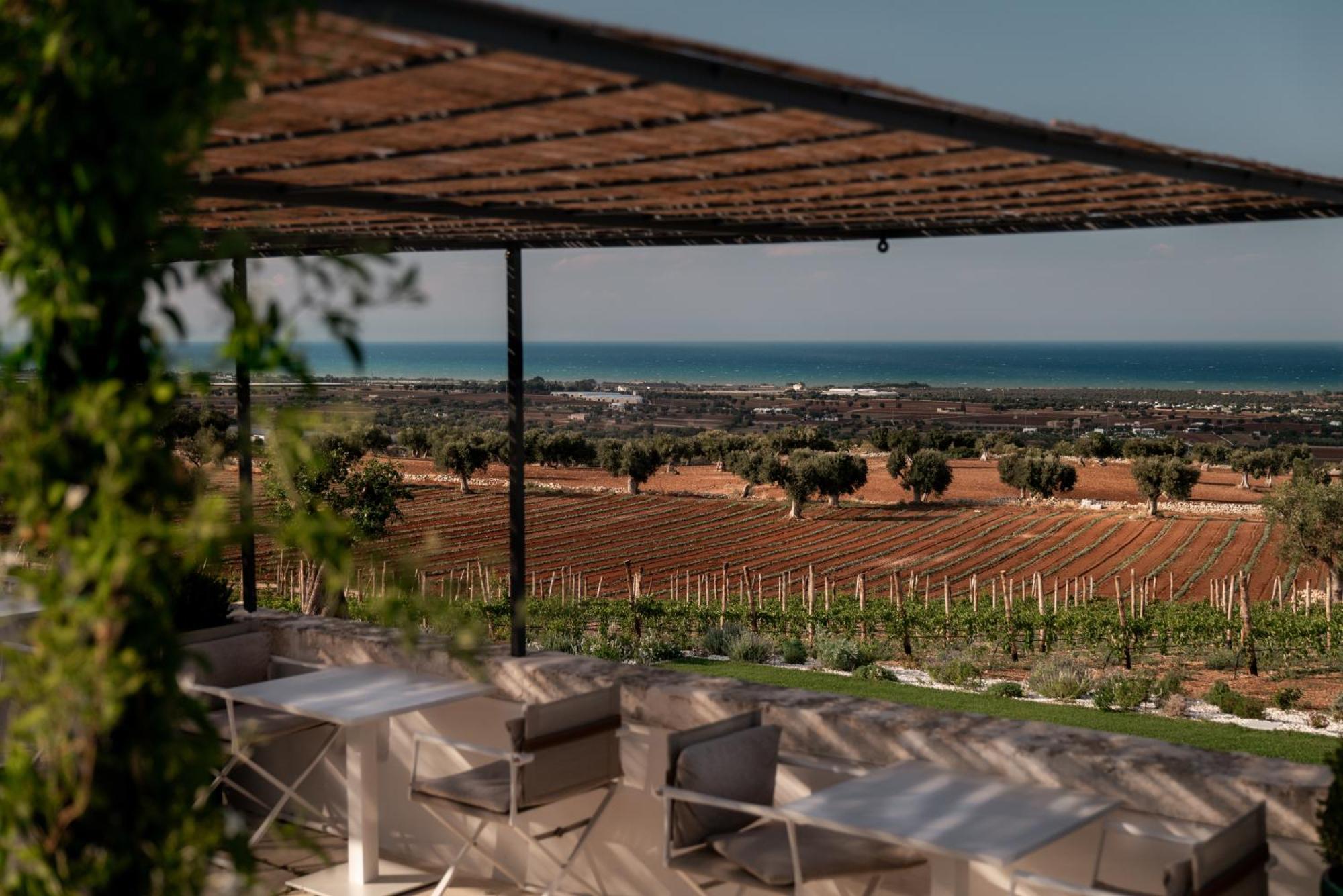 Masseria Auraterrae Polignano a Mare Esterno foto