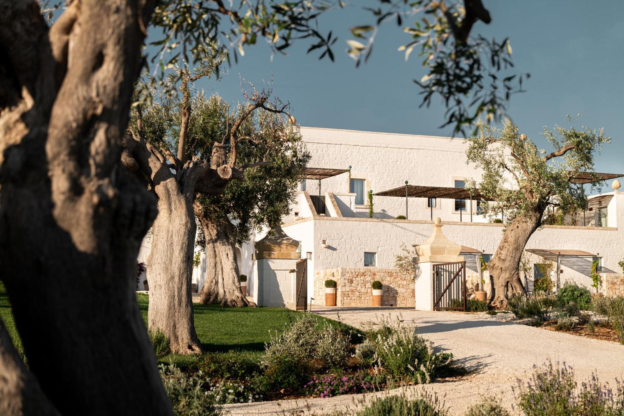 Masseria Auraterrae Polignano a Mare Esterno foto